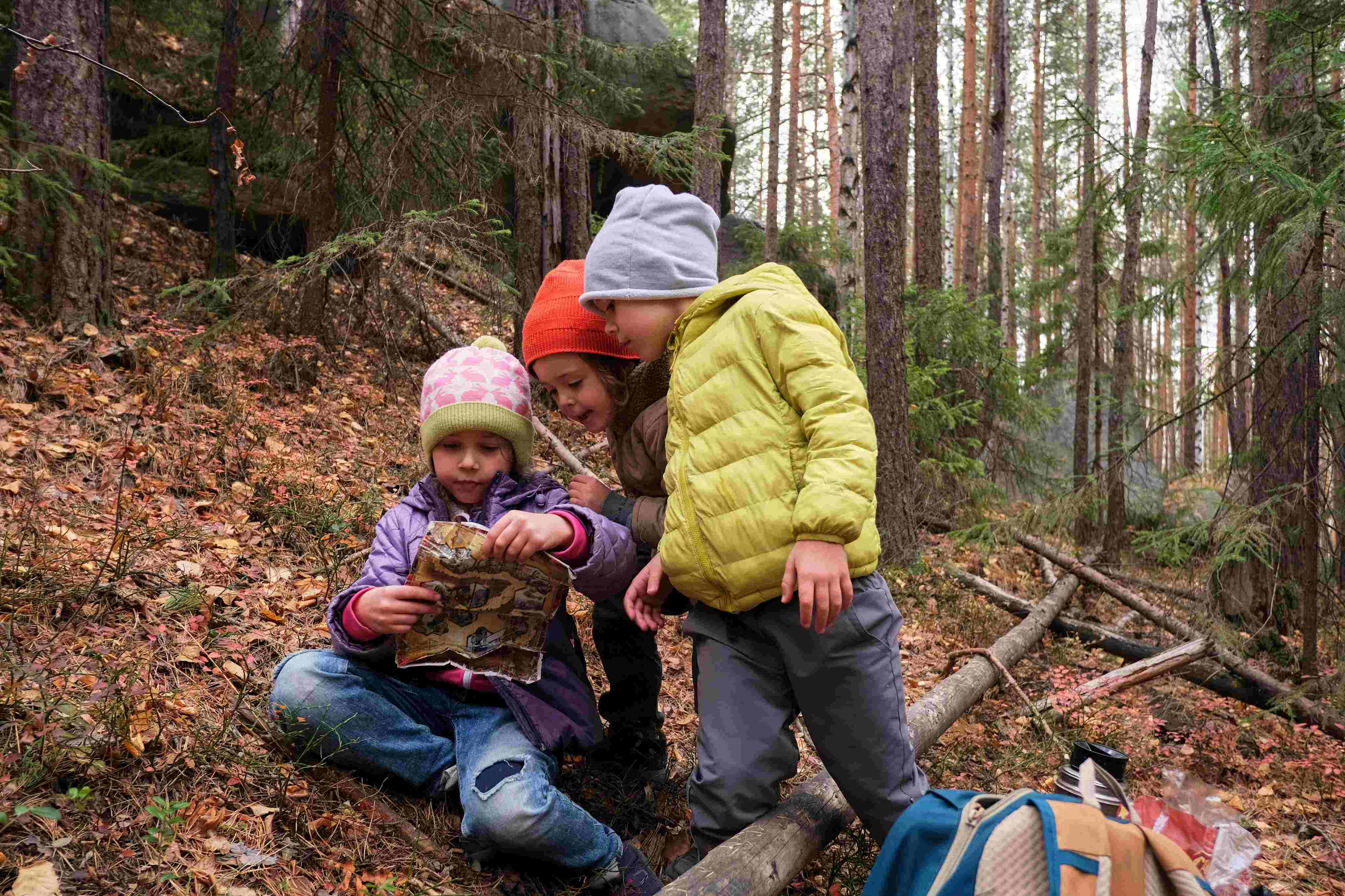 Kido Forest School